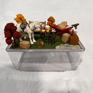 Op de afbeelding: Een gedetailleerde miniatuur diorama scène. Het toont een wit paard met een zadel, een rode kruiwagen en een kleine tafel met stoelen. De scène omvat miniatuurbomen, een eekhoorn en hooibalen, allemaal in een doorzichtige plastic container.
