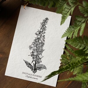 Carte « Digitale pourpre» • Illustration • feutre noir, carte postale, format A6, papier recyclé