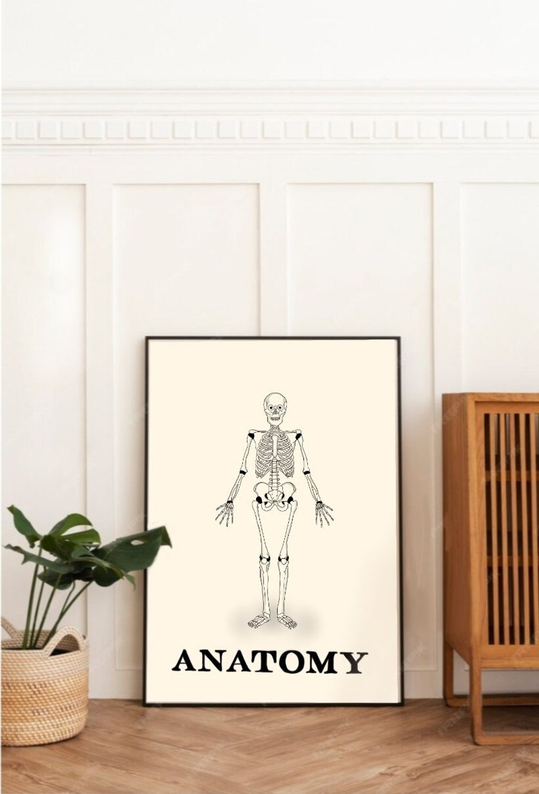 Poster Anatomy Skeleton Minimalist Black and White - Etsy