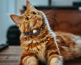 AirTag Reflective Cat Collar | AirTag Cat Collar | Reflective Cat Collar for AirTag