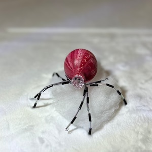 Christmas Spider