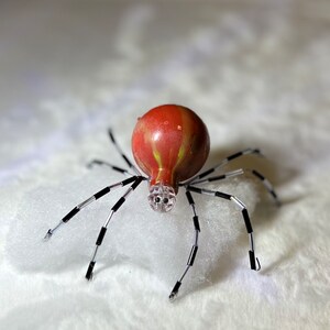 Christmas Spider