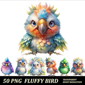 50 PNG Fluffy Bird Whimsical Birds Clipart Funny Bird Design Transparent Png Cute Fluffy Bird Design Png Funny Birds High Resolution