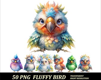 50 PNG Fluffy Bird Whimsical Birds Clipart Funny Bird Design Transparent Png Cute Fluffy Bird Design Png Funny Birds High Resolution
