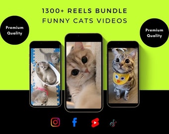 App Funny Text Videos 1300+ Funny Cat Kitten Reels Bundle Viral