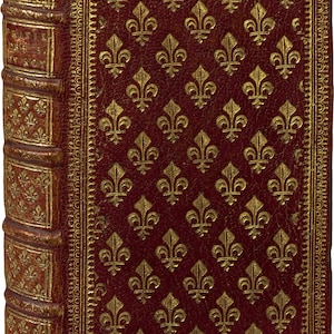Buchcover: Setzlinge