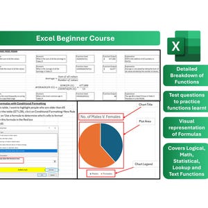 May include: A green and white Excel Beginner Course infographic with a pie chart showing the number of males versus females. The infographic includes a detailed breakdown of functions, test questions to practice functions learned, a visual representation of formulas, and a description of the functions covered, including logical, math, statistical, lookup, and text functions.