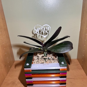 Orchid Pot