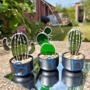 Stained glass  - Cactus ornament, everlasting plant