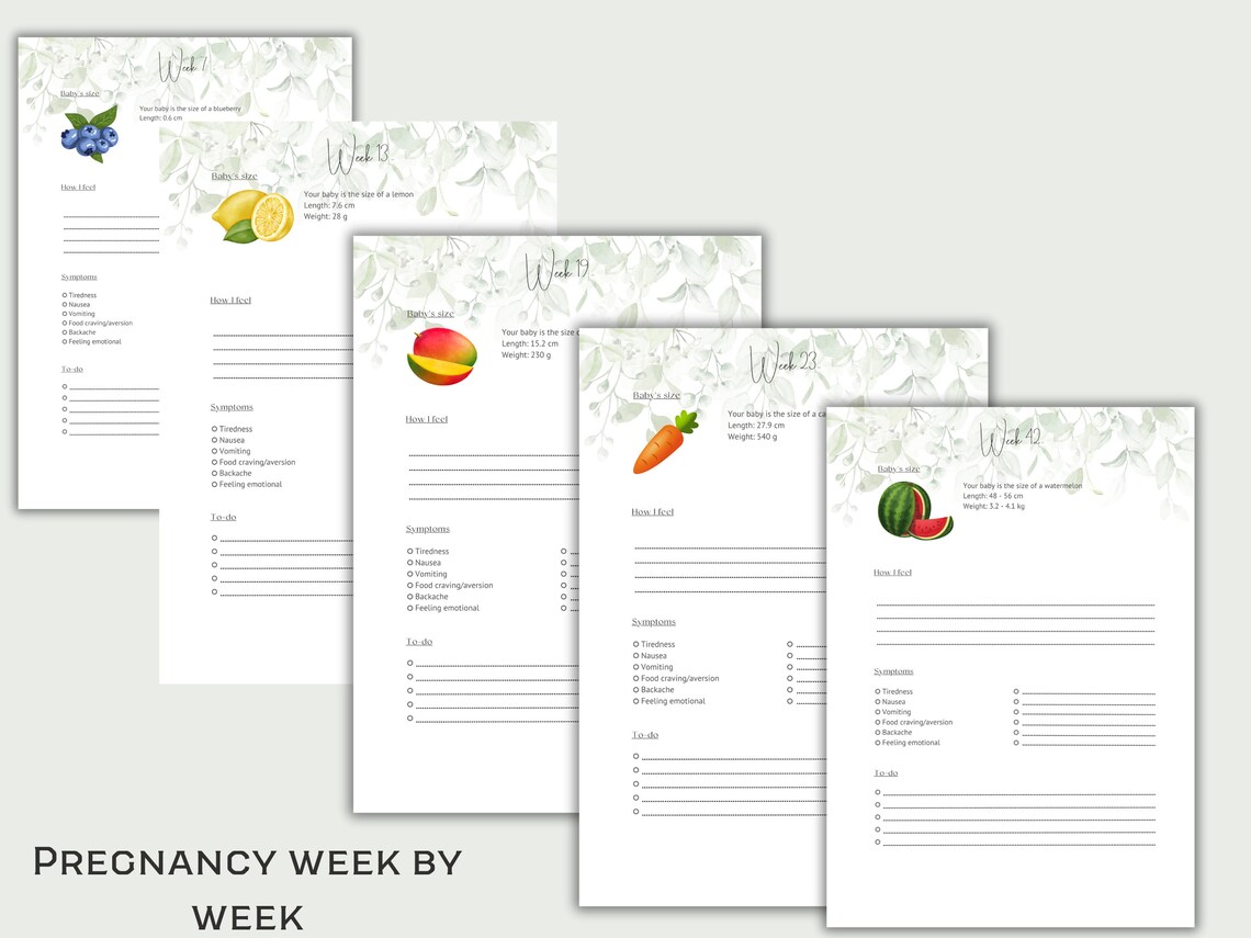 Printable Pregnancy Journal | Printable Pregnancy Planner | Pregnancy ...