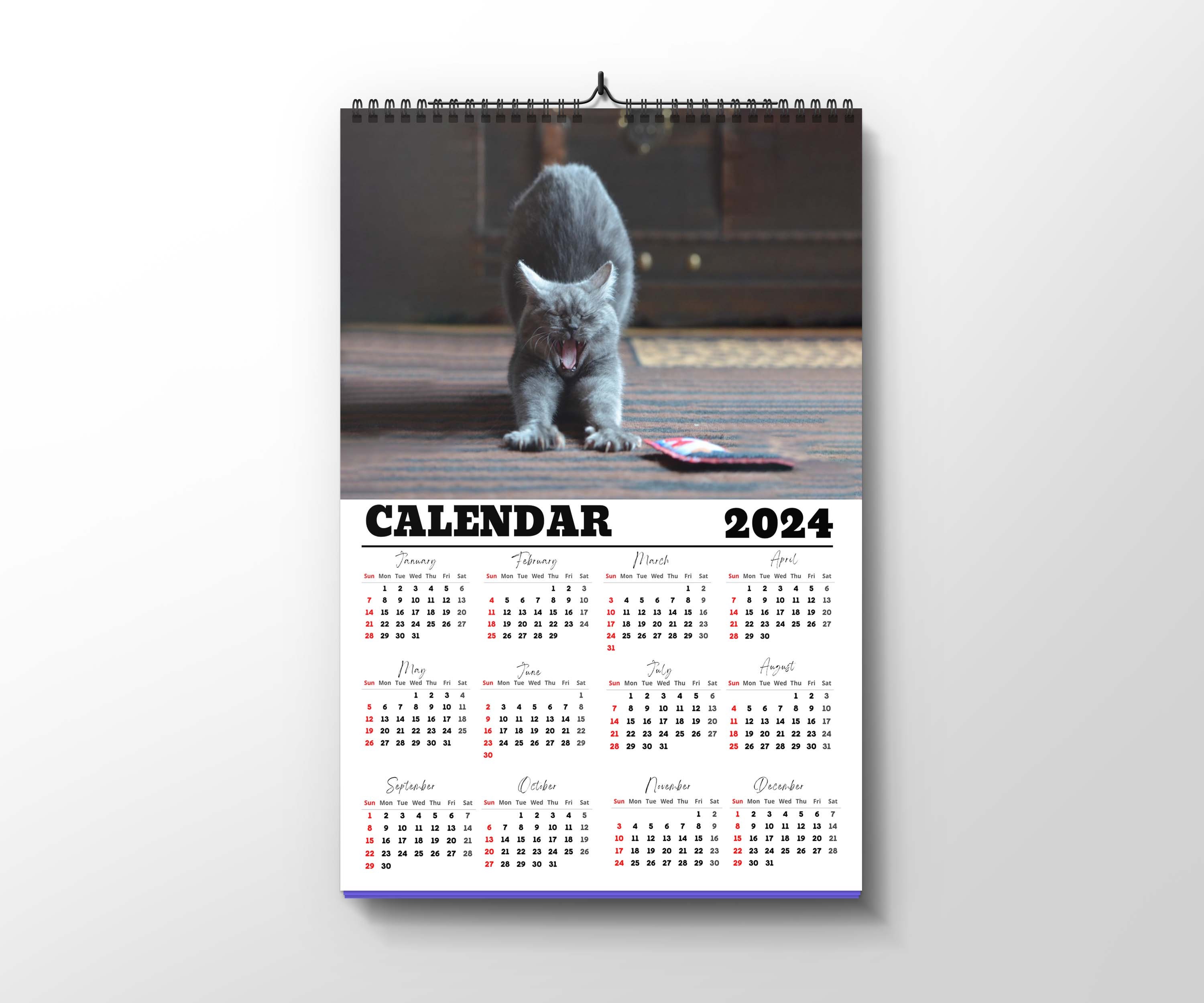 Yawning Cat Calendar Printable Cat Calendar 2024 Get Ready - Etsy