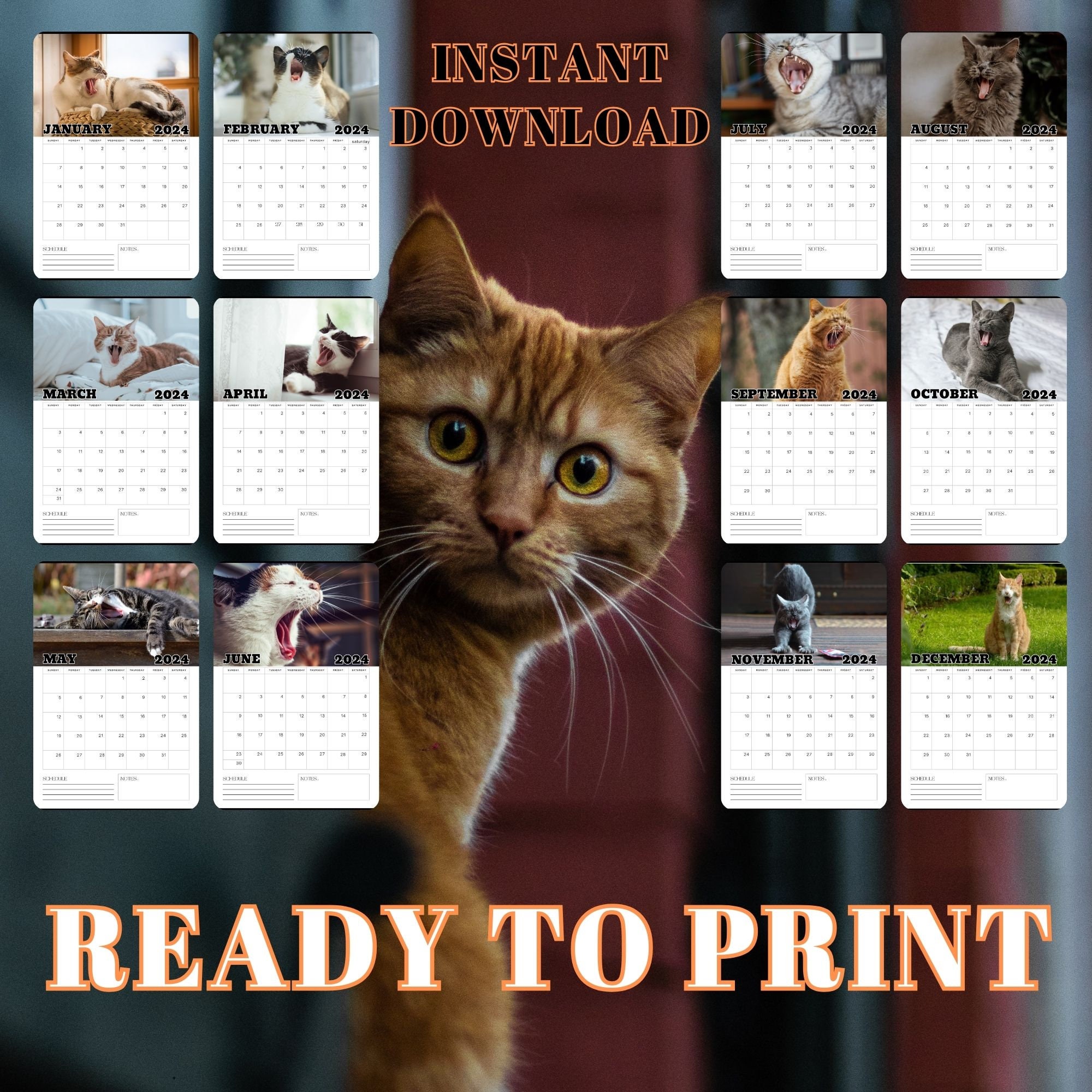 Yawning Cat Calendar Printable Cat Calendar 2024 Get Ready - Etsy