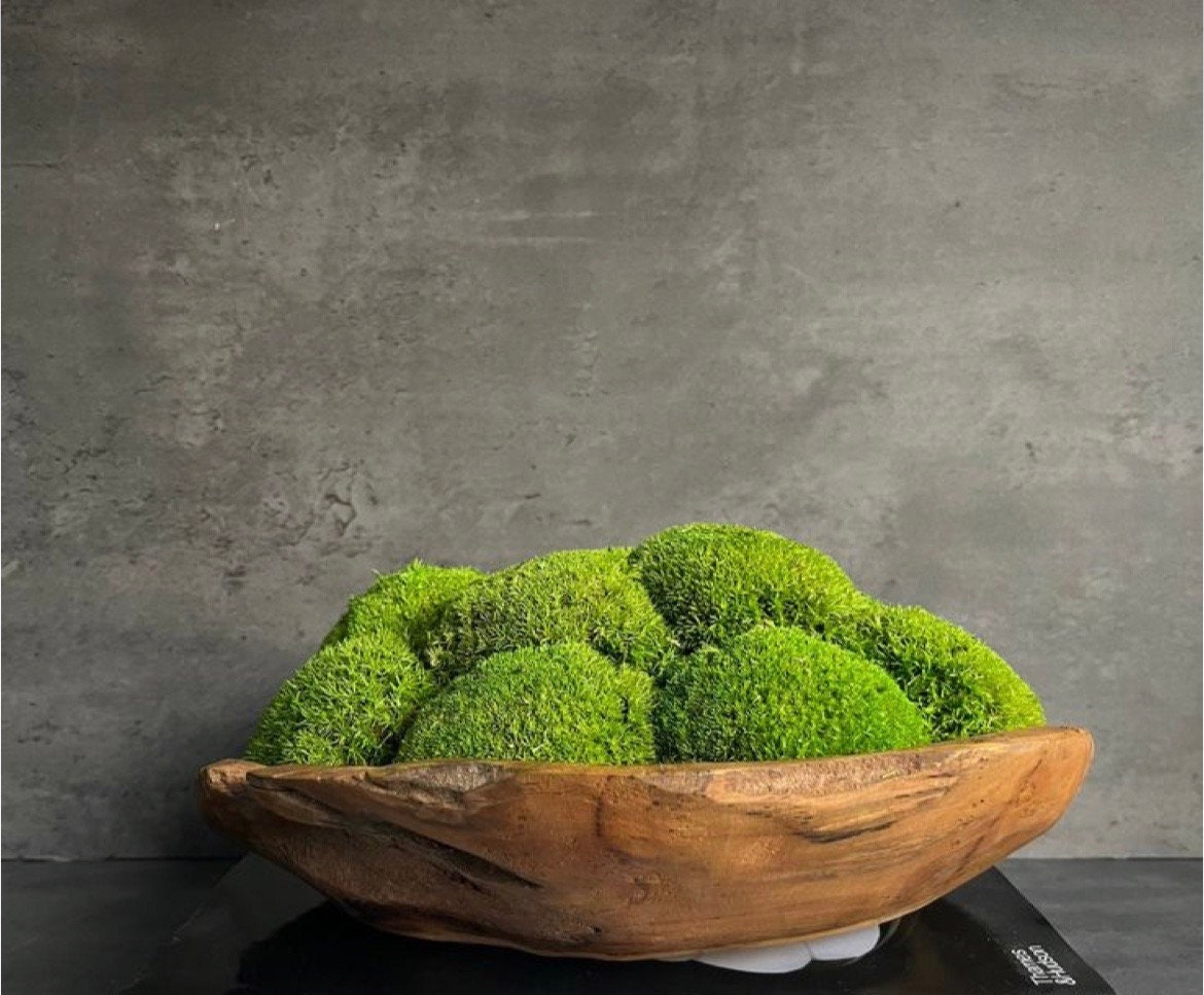 Moss Centerpiece Nature Inspired Table Decor Long Moss Bowl