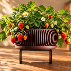 May include: A strawberry plant with green leaves, white flowers, and red berries growing in a dark brown, ribbed, circular planter. The planter sits on a matching saucer, which is supported by a black, U-shaped metal stand on a wooden surface.