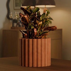 May include: A potted croton plant with variegated leaves in shades of green, yellow, and deep red, housed in a cylindrical terracotta-coloured planter featuring a vertical ribbed texture along the exterior surface of the container.