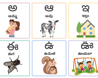 Telugu Flashcards Body Parts - Etsy