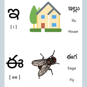 Telugu Alphabets With Pictures - Etsy