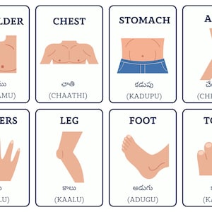 Telugu Flashcards Body Parts - Etsy