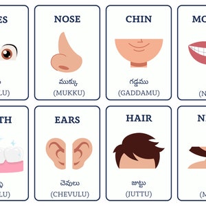 May include: An illustrated chart with images and Telugu words for different parts of the human body, including eyes, nose, chin, mouth, teeth, ears, hair, and neck.