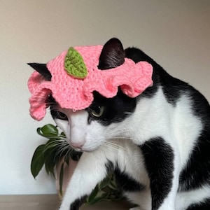 Crochet Peach Cat Hat