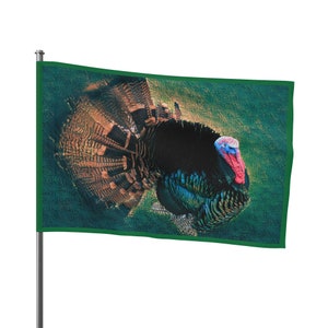 May include: A close-up of a wild turkey with its feathers spread out. The turkey has a dark blue and green body with a red head and wattle. The background is a green and brown colour.