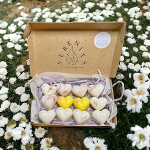 Jasmine Unwind Wax fond | La cire de soja fond | Végétalien et écologique | Très parfumé | Fondre longue durée | Détendez-vous et détendez-vous