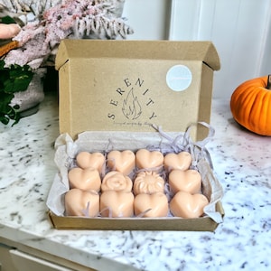Pumpkin spice Wax melts | Soy wax melts | Vegan and Eco friendly | Highly scented | Long Lasting melt | Festive