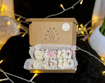Derrete Winter Wonderland | Derrete de cera de soja | Vegano e ecológico | Altamente perfumado | Derrete de longa duração | É a estação