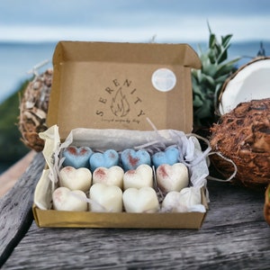 Tropical Getaway Wax melts | Soy wax melts | Vegan and Eco friendly | Highly scented | Long Lasting melt | Nostalgic