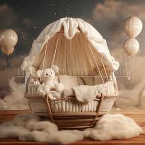 Newborn Digital Backdrop White, Baby Digital Background, Newborn Backdrop, Newborn Background, Baby Milestone Background, Balloon Backdrop