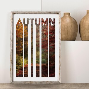 Póster de otoño «OTOÑO»: Póster de paisaje forestal en colores otoñales