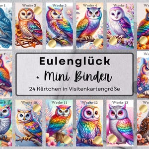 Könnte beinhalten: Ein Set mit 14 bunten Eulenkarten mit dem Text "Woche 1" bis "Woche 14" und dem Text "Eulenglück + Mini Binder 24 Kärtchen in Visitenkartengröße".