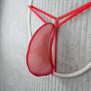 May include: Red mesh underwear with a white circular frame. The underwear has a sheer, breathable design. The garment is set against a textured grey background.