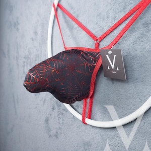 May include: Black underwear with a red spiderweb design. The underwear is suspended by red straps and a white circular frame. A tag with the letter "V" is attached.