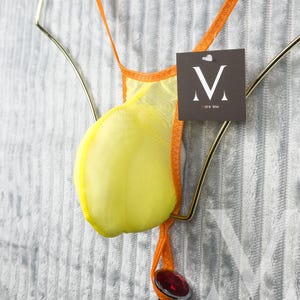 May include: A yellow and orange thong-style undergarment with a pouch, hanging on a gold-colored hanger. The garment has a sheer yellow fabric with orange trim. A tag with a white "V" and the text "mens-lew" is attached.