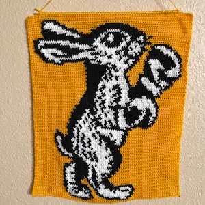 PDF Crochet boxing rabbit **PATTERN ONLY**
