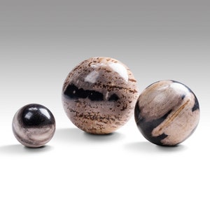 2 Style Stone Table Decoration Ball, Solid Petrified Wood Ball For Table Decoration, Petrified Wood Stone, Stone Furniture, Fossil Wood. image 2
