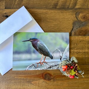 Cartões de nota com foto de garça verde com 4 unidades | Cartões de pássaros, interior em branco, fotografia original, cartões da natureza, cartão de felicitações, citações inspiradoras