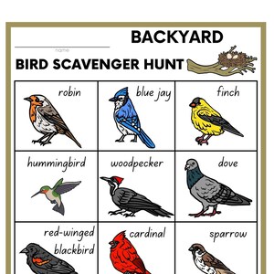 BackYard Birds Scavenger Hunt 13 page digital download and print, find the different birds, educational scavenger hunt, backyard fun