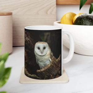 Barn Owl Mug, Ceramic Mug for Owl Lovers, Bird Gift, 11oz 15oz Coffee Cup, Wildlife Animal Lover Tea Cup, Rustic Kitchen Decor, Nature