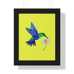 Hummingbird Framed Art Print: Colorful Bird Illustration