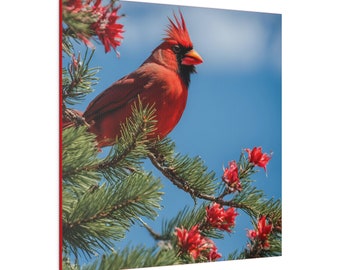 Cardinal Canvas Wall Art: Bird on Pine Branch, Nature Decor