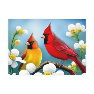 Postcard Bundles (envelopes included)