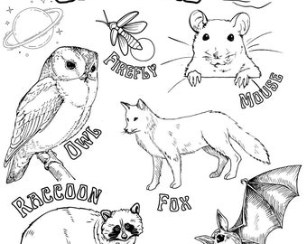 Nocturnal critters coloring page