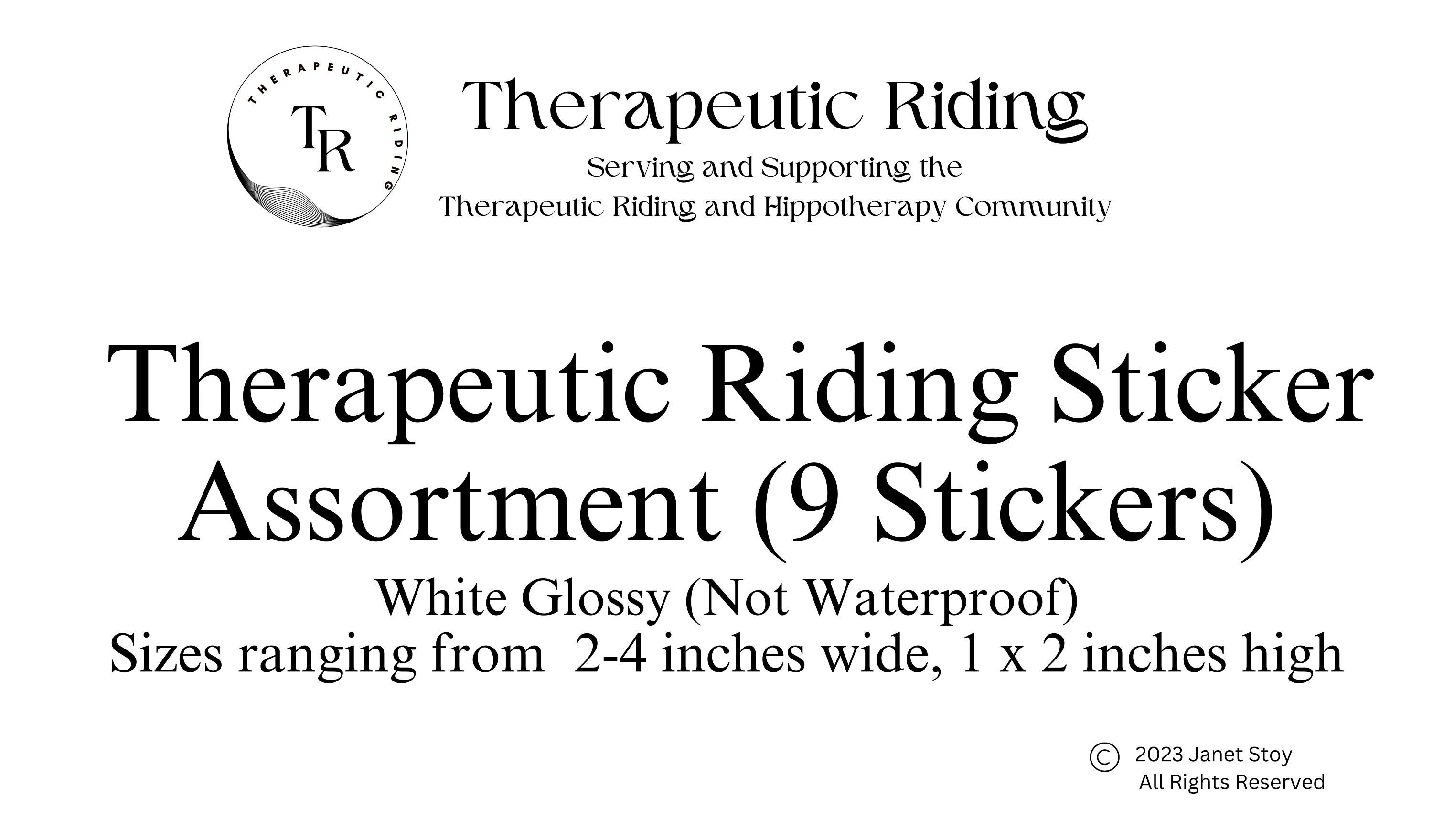 Horse Stickers Therapeutic Riding Assortment 9 Stickers Horseback ...