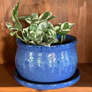 May include: A blue ceramic planter with a matching saucer holds a vibrant green and white plant. The planter has a speckled finish and a rounded shape. The plant's leaves are variegated with white and green patterns. The setup is on a wooden shelf.