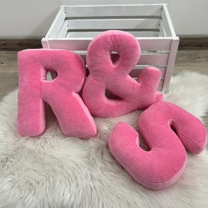Almohada decorativa, almohada con letras rosas, regalo de inauguración de la casa, almohada personalizada con monograma y letra personalizada, almohada con alfabeto, regalo para baby shower