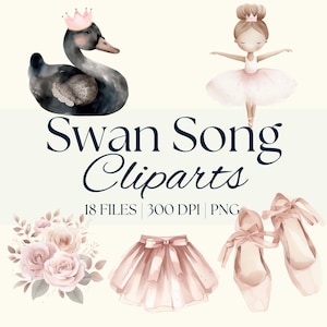 Pacchetto di clipart di ballerine ad acquerello: Lago dei cigni, scarpette da ballo (download digitale PNG)