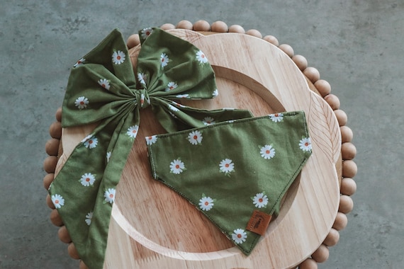 Green Daisies in the Fall | Over the Collar Slip-Through Dog Bandana | Fresh Daisies Dogs