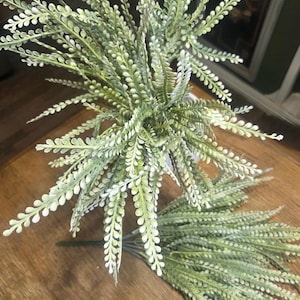 May include: Artificial fern stems with green and white leaves. The stems are arranged in a vase and also lie on a wooden surface. The leaves have a delicate, textured appearance, creating a natural aesthetic.